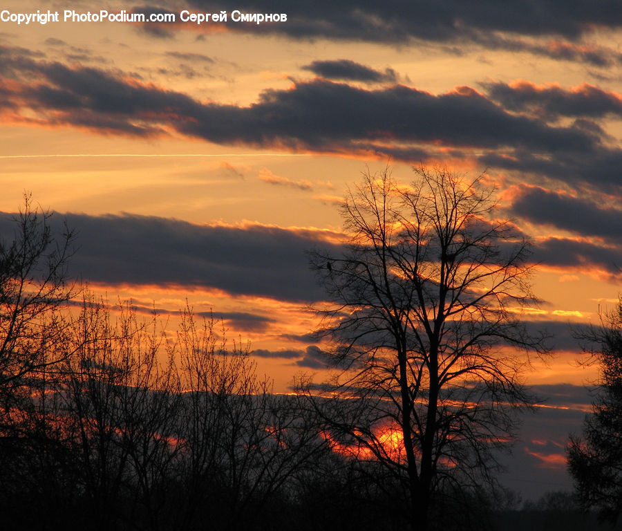 Dawn, Dusk, Red Sky, Sky, Sunrise, Sunset, Outdoors