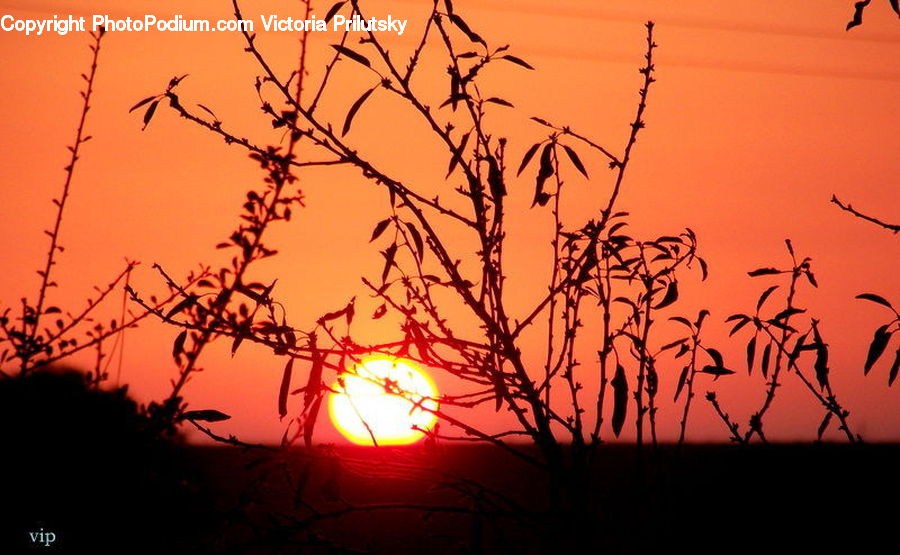 Dusk, Outdoors, Sky, Sunlight, Sunrise, Sunset, Dawn