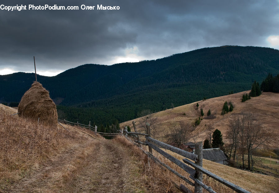 Grassland, Mound, Dirt Road, Gravel, Road, Hay, Straw