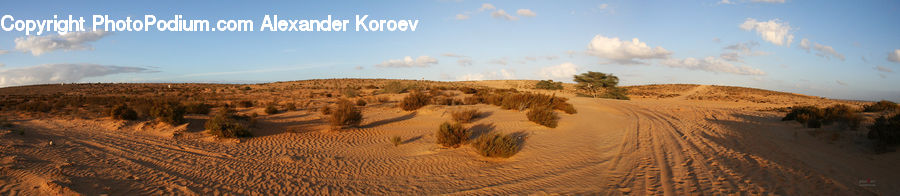 Desert, Outdoors, Dune, Landscape, Nature, Scenery, Soil
