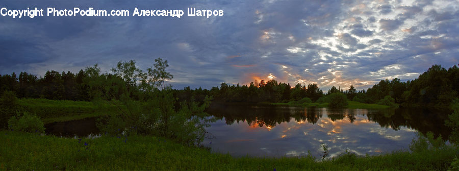 Lake, Outdoors, Water, Conifer, Fir, Plant, Tree