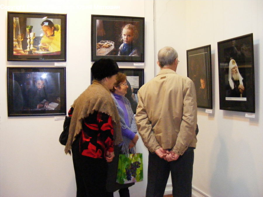 Human, People, Person, Art, Art Gallery, Plant, Potted Plant