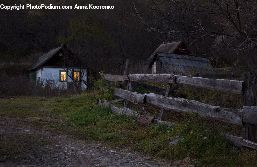 Plant, Potted Plant, Building, Cottage, Housing, Bench, Cabin
