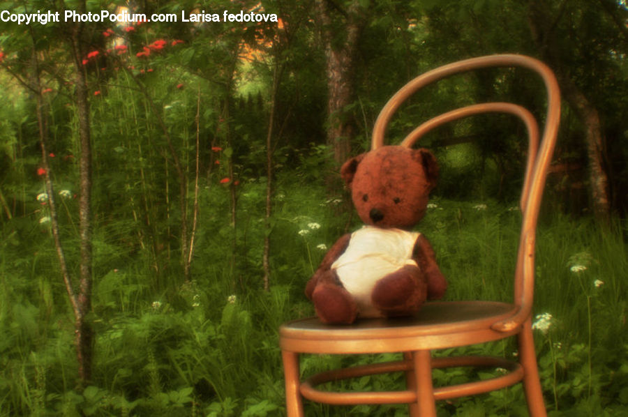 Teddy Bear, Toy, People, Person, Human, Plant, Potted Plant