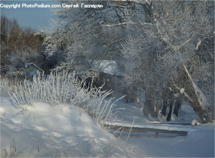 Frost, Ice, Outdoors, Snow, Blizzard, Weather, Winter