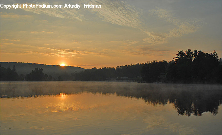Dawn, Dusk, Red Sky, Sky, Sunrise, Sunset, Conifer