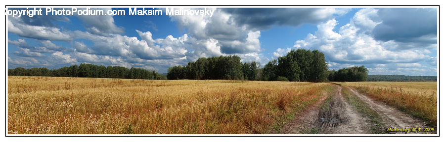 Field, Grass, Grassland, Land, Outdoors, Dirt Road, Gravel