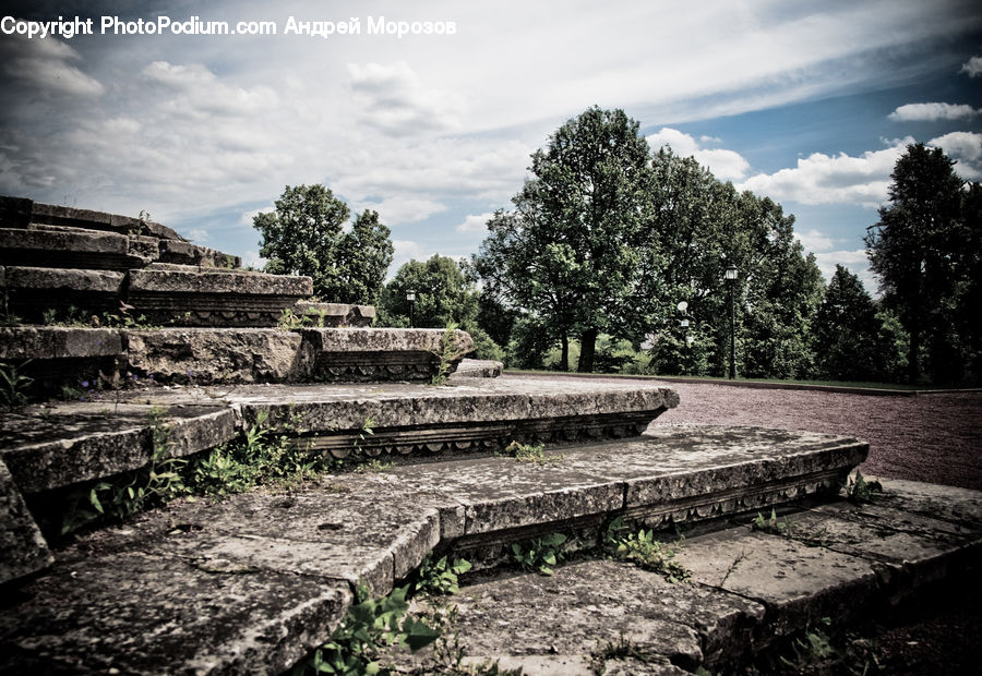Plant, Tree, Ruins, Tomb, Oak, Wood, Conifer