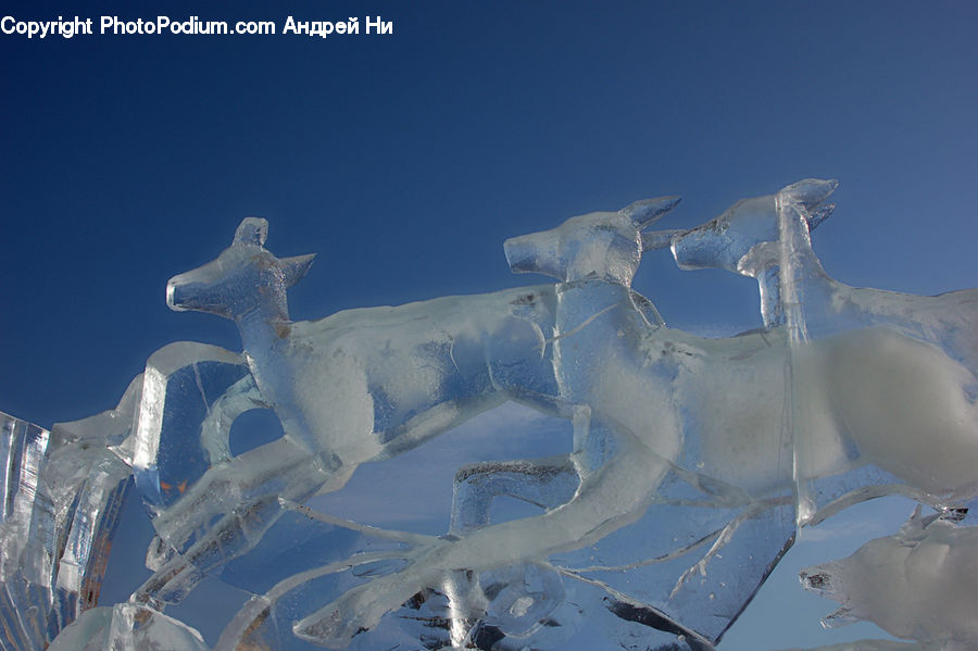 Ice, Outdoors, Snow, Animal, Gazelle, Impala, Mammal