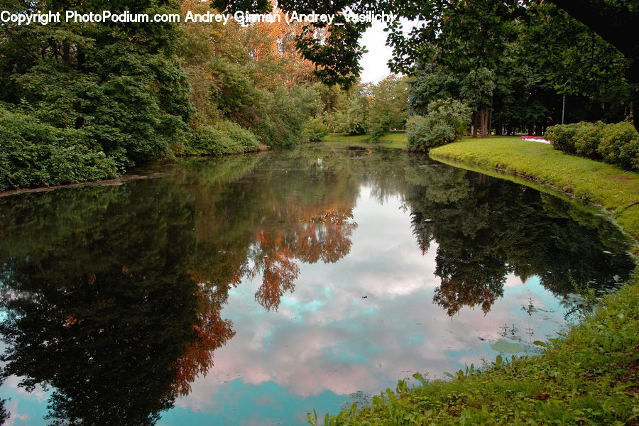 Outdoors, Pond, Water, Canal, River, Plant, Tree