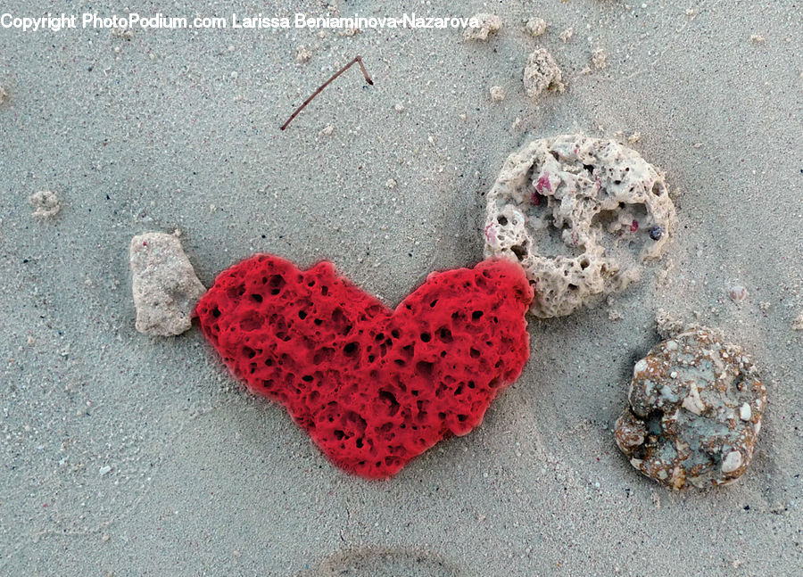 Outdoors, Sand, Soil, Heart, Sea Life, Sponge Animal, Accessories