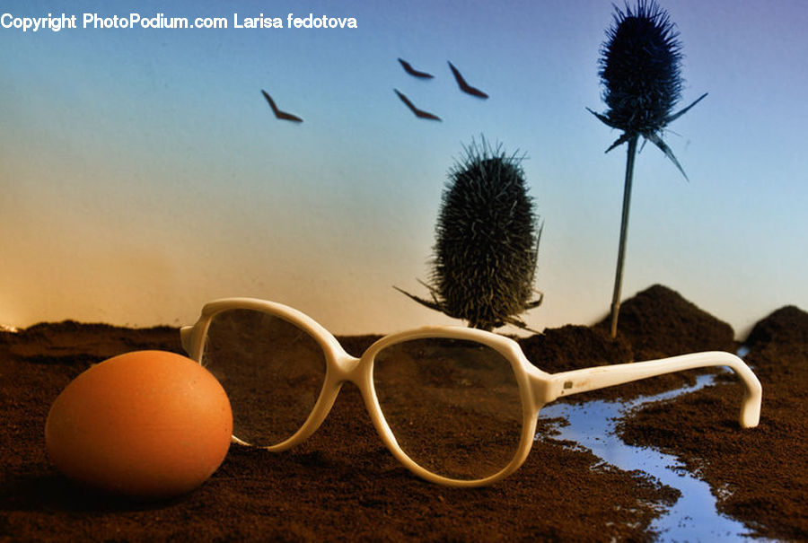Glasses, Goggles, Flora, Flower, Plant, Thistle, Weed