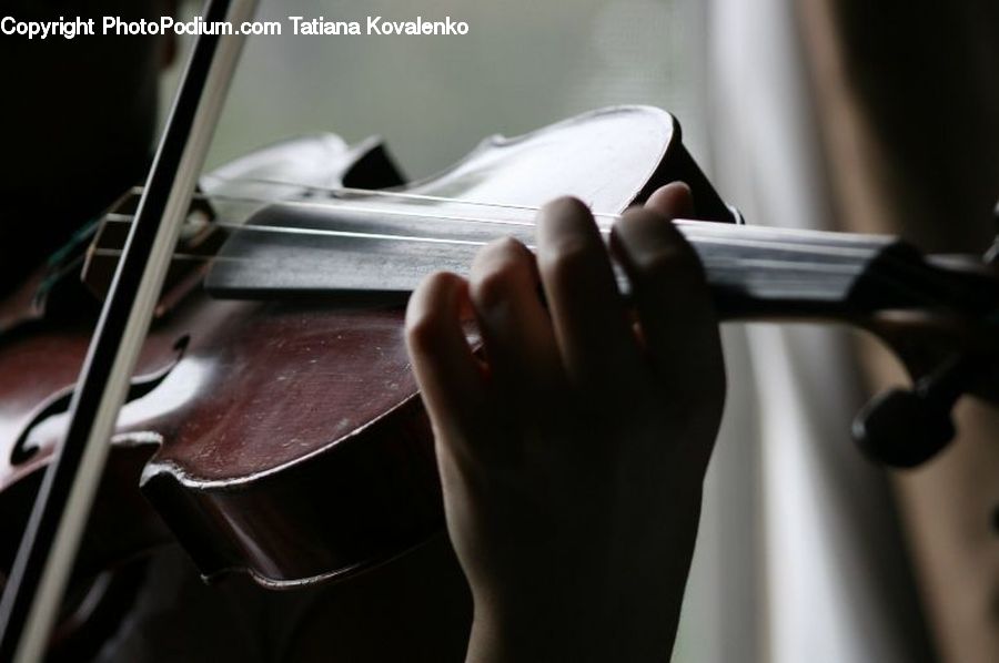 Cello, Musical Instrument, Fiddle, Viola, Violin, Dish, Food