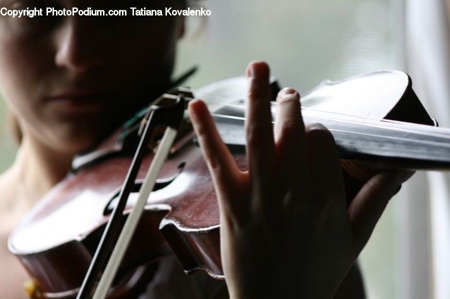 Cello, Musical Instrument, Fiddle, Viola, Violin, Bowl, Person