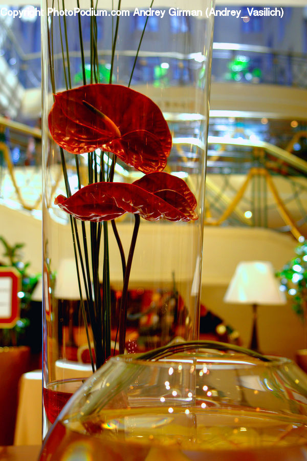 Glass, Beverage, Drink, Food, Hot Pot, Collage, Poster