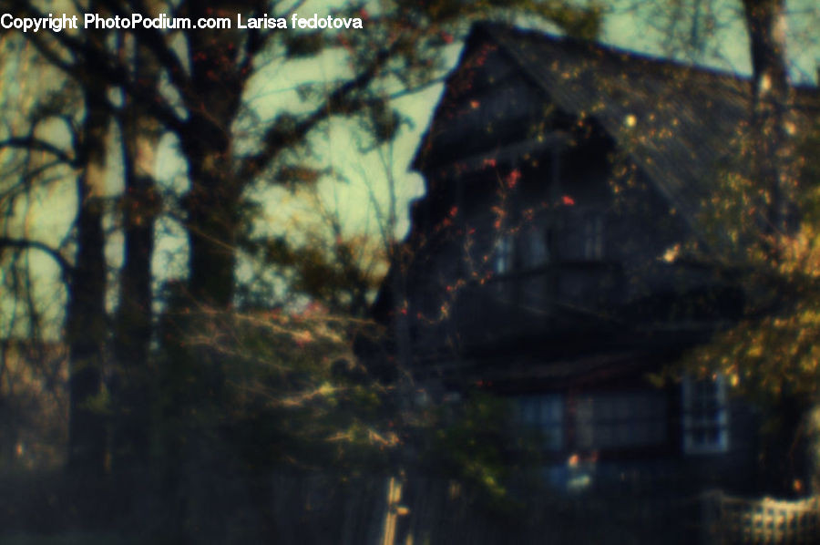 Light, Building, Cottage, Housing, Architecture, Pagoda, Shrine