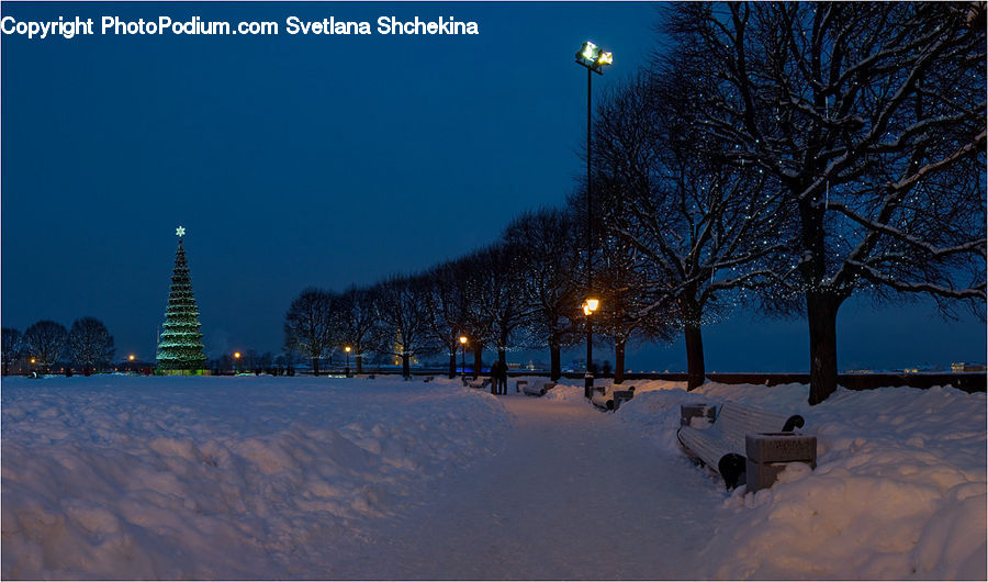 Blizzard, Outdoors, Snow, Weather, Winter, Landscape, Nature
