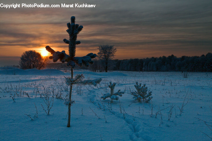 Dawn, Dusk, Sky, Sunrise, Sunset, Ice, Outdoors