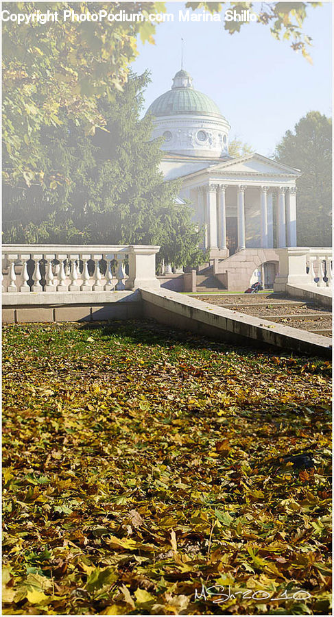 Tomb, Building, Office Building, Campus, Architecture, Dome, Housing