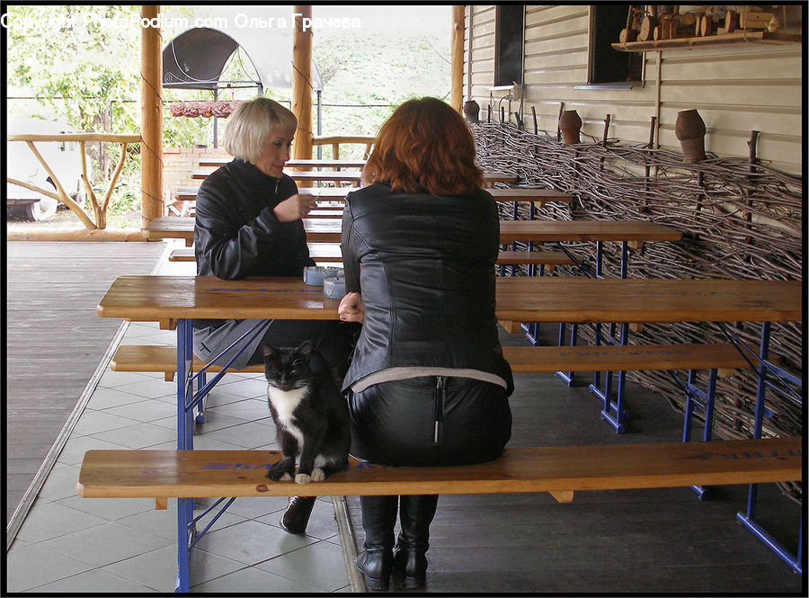 People, Person, Human, Dining Table, Furniture, Table, Bench