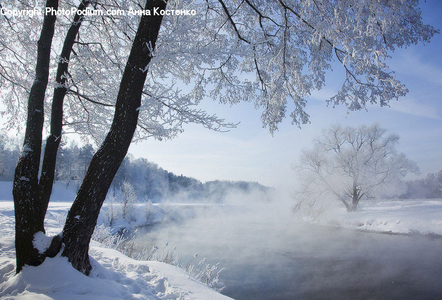 Landscape, Nature, Scenery