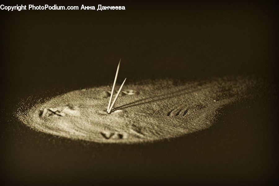 Insect, Invertebrate, Mosquito, Sundial