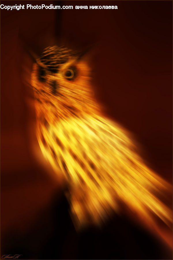 Field, Grass, Grassland, Plant, Beak, Bird