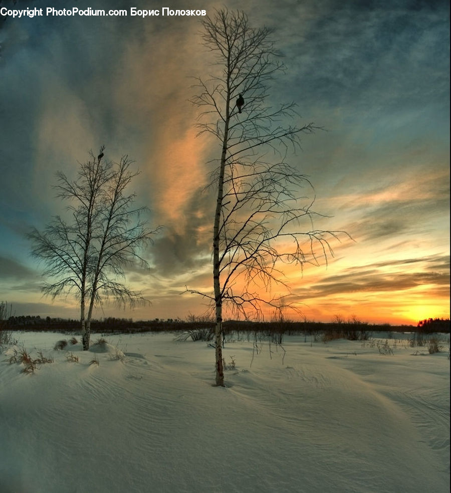 Dawn, Dusk, Red Sky, Sky, Sunrise, Sunset, Outdoors