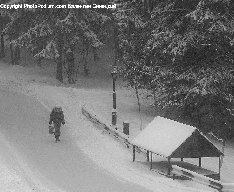 Ice, Outdoors, Snow, Blizzard, Weather, Winter, Alps