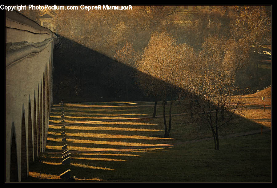 Boardwalk, Deck, Path, Sidewalk, Walkway, Art, Modern Art