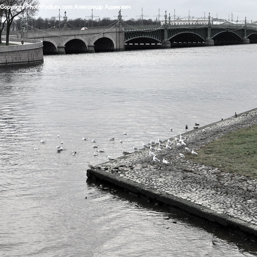Bridge, Coast, Outdoors, Sea, Water, Flood, Dock