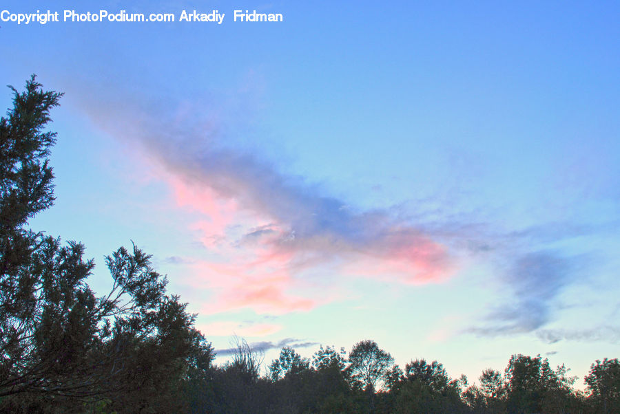 Azure Sky, Cloud, Outdoors, Sky, Forest Fire, Landscape, Nature