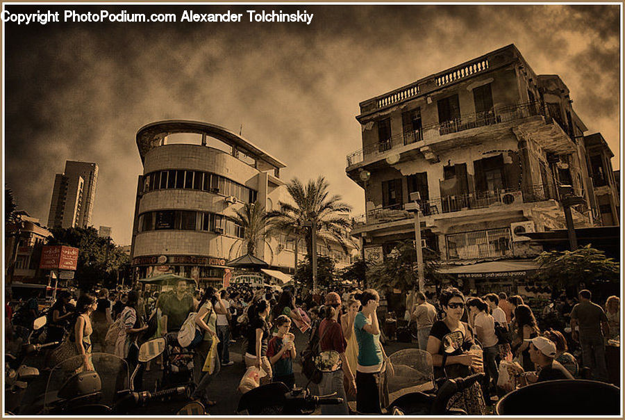 Plant, Potted Plant, Bazaar, Market, Crowd, Architecture, Downtown