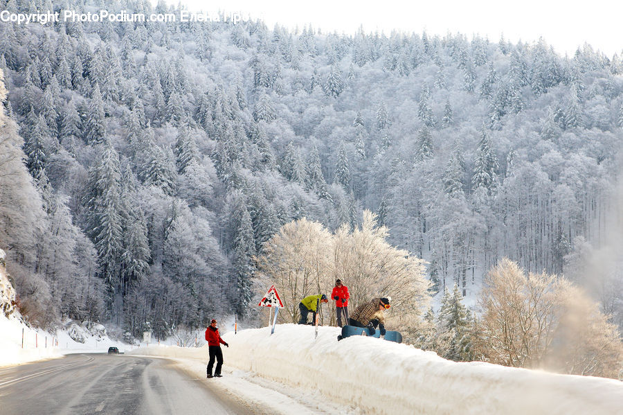 Ice, Outdoors, Snow, Piste, Skiing, Slide, Sport