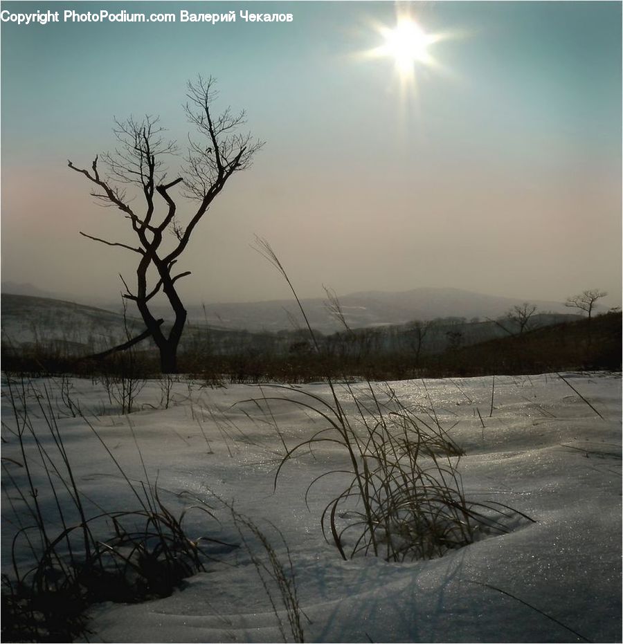 Land, Marsh, Outdoors, Swamp, Water, Sand, Soil