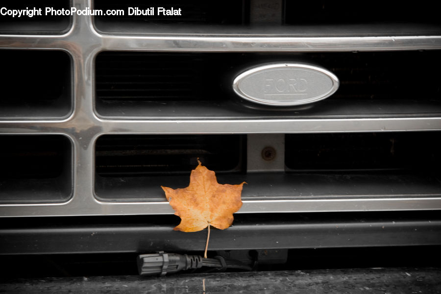 Maple, Maple Leaf, Plant, Cross, Logo, Trademark, Cookie