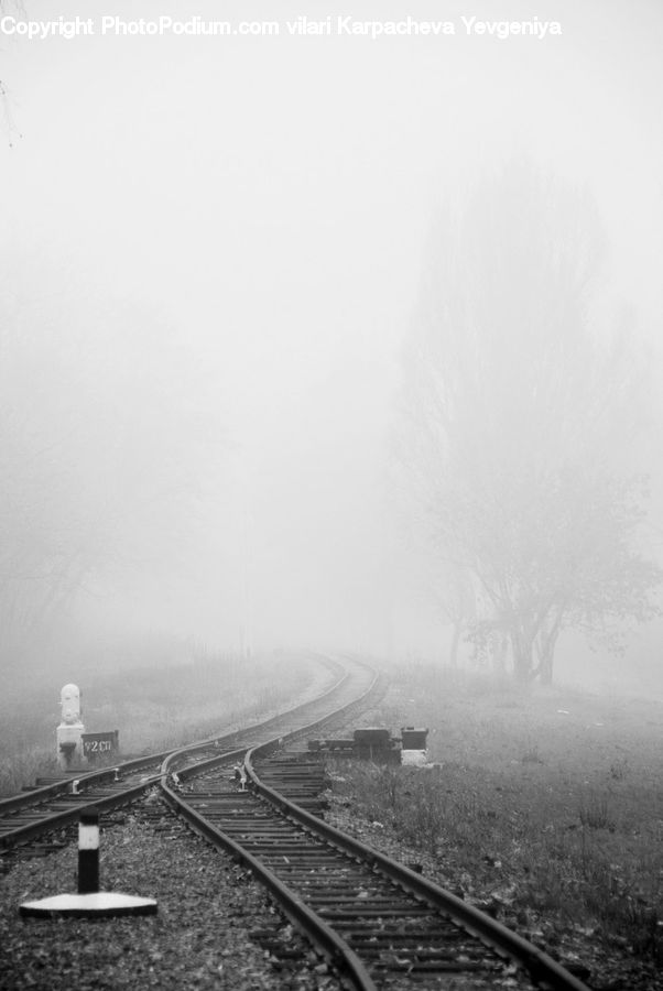 Rail, Train Track, Locomotive, Train, Transportation, Vehicle