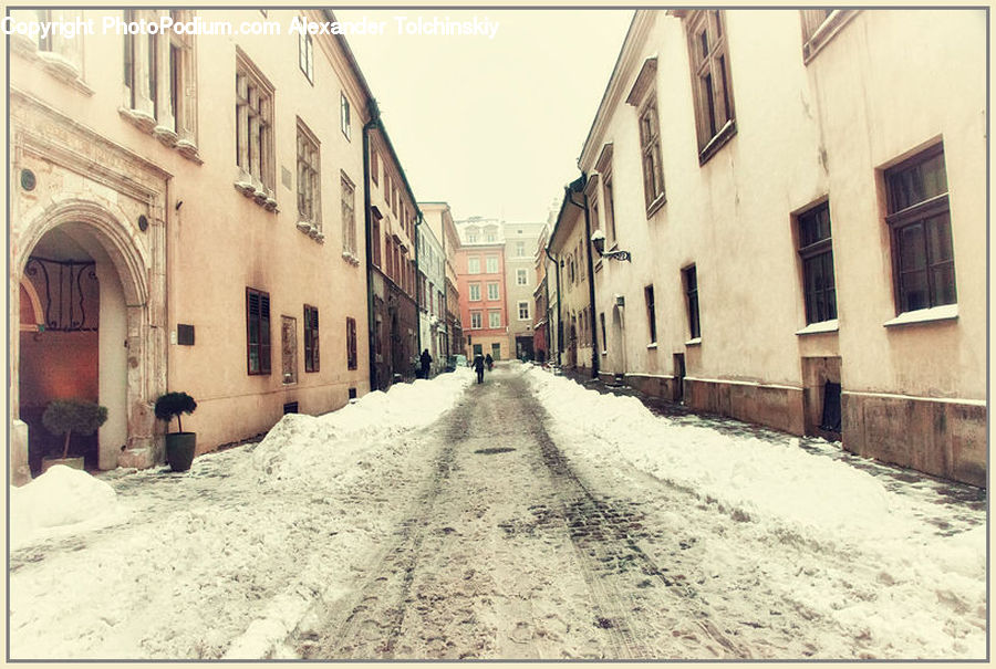 Plant, Potted Plant, Alley, Alleyway, Road, Street, Town