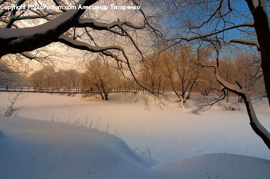 Landscape, Nature, Scenery