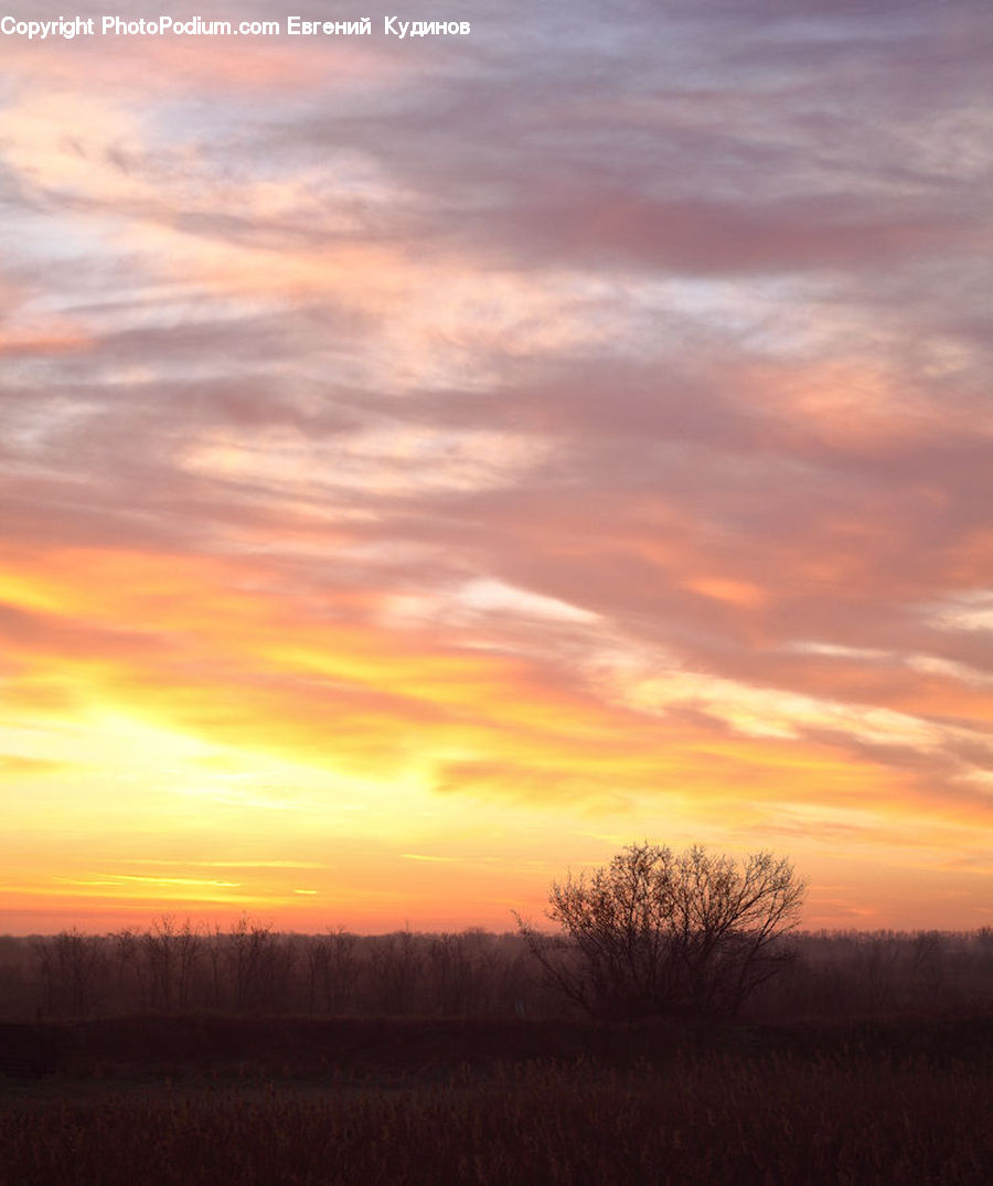 Dawn, Dusk, Red Sky, Sky, Sunrise, Sunset, Outdoors