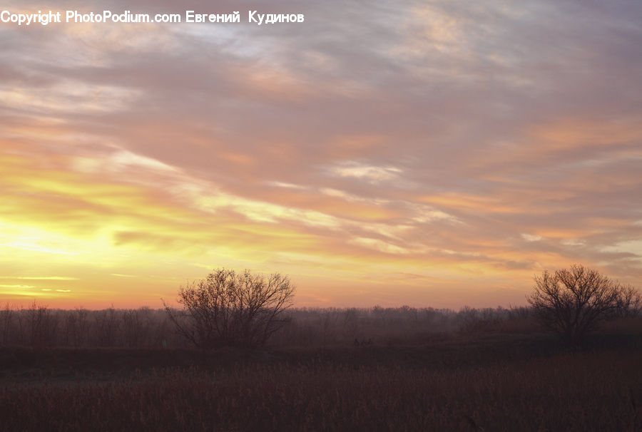 Dawn, Dusk, Red Sky, Sky, Sunrise, Sunset, Outdoors