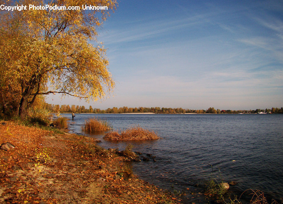 Landscape, Nature, Scenery, Lake, Outdoors, Water, River