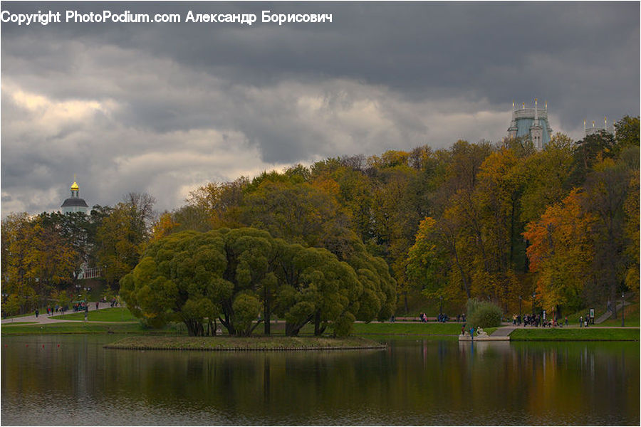 Outdoors, Pond, Water, Park, Plant, Tree, Landscape