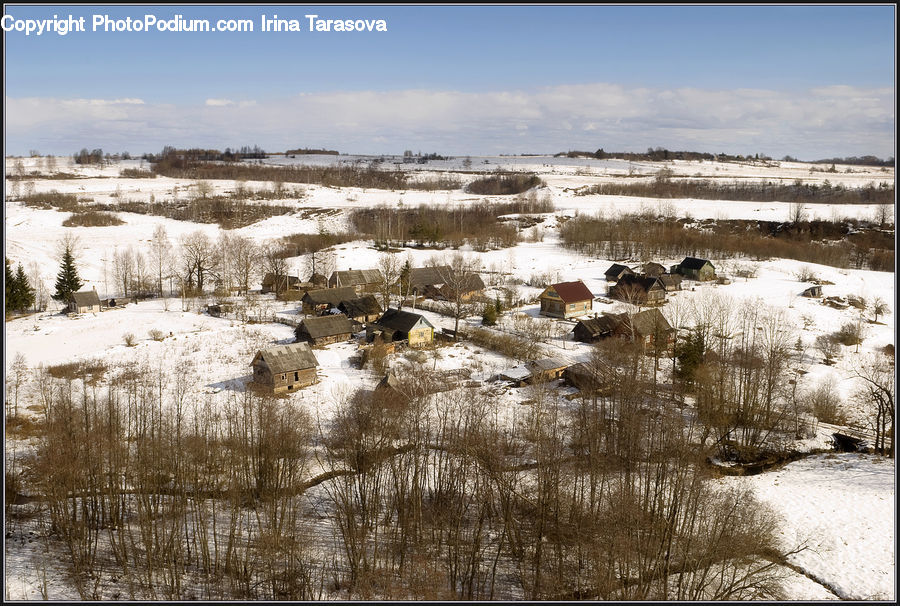 Land, Marsh, Pond, Swamp, Water, Field, Grass