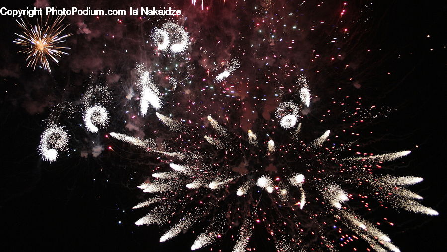 Fireworks, Night, Glitter, Light, Conifer, Fir, Plant