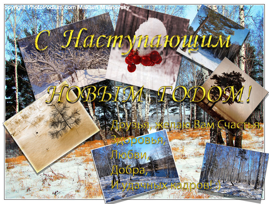 Brochure, Flyer, Poster, Collage, Text, Accessories