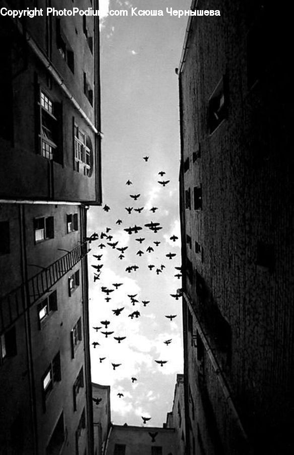 Alley, Alleyway, Road, Street, Town, City, Downtown