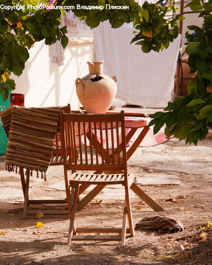 Plant, Potted Plant, Bench, Furniture, Basket, Pot, Pottery
