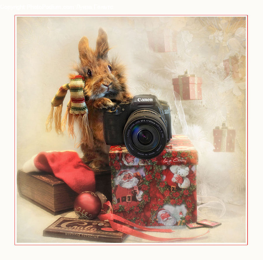 Camera, Electronics, Accessories, Art, Cushion, Home Decor, Pillow