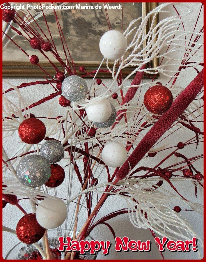 Ornament, Fruit, Hip Fruit, Accessories
